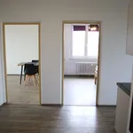 Pronajměte si 3 ložnic/e byt o rozloze 65 m² v Čížkovice