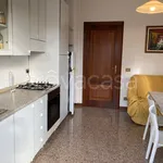 Rent 5 bedroom apartment of 85 m² in Padova