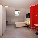 Studio o rozloze 34 m² v prague