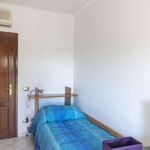 Rent a room in Roma