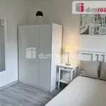 Rent 1 bedroom apartment of 18 m² in Kačice