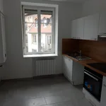 Rent 3 bedroom apartment of 60 m² in STRASBOURG