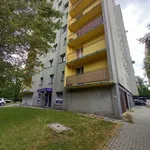 Rent 2 bedroom apartment of 44 m² in Sosnowiec