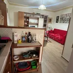 Rent 3 bedroom apartment of 70 m² in Vibo Valentia