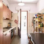 Rent 6 bedroom apartment in Rome