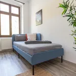 Rent 2 bedroom apartment of 61 m² in Chemnitz