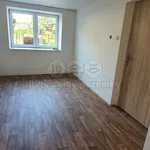 Rent 1 bedroom apartment of 28 m² in Frýdlant