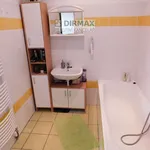 Rent 3 bedroom apartment in  Plzeň město