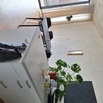 Rent 2 bedroom apartment of 65 m² in Noordelijke IJ-oevers-West