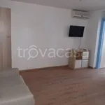 Rent 1 bedroom apartment of 30 m² in Roma