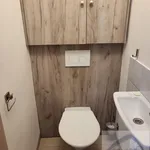 Rent 1 bedroom apartment of 23 m² in Brno