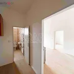 Rent 2 bedroom apartment of 40 m² in Luže