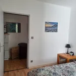 Rent 1 bedroom apartment of 60 m² in Frankfurt