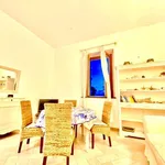 Rent 1 bedroom apartment of 60 m² in Pisa