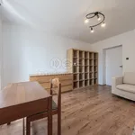 Rent 3 bedroom apartment of 58 m² in Březnice