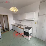 Rent 4 bedroom apartment of 75 m² in Brno