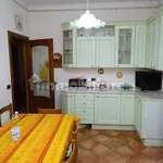 Rent 3 bedroom apartment of 98 m² in Genoa