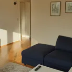 Rent 4 bedroom apartment of 75 m² in Mainz