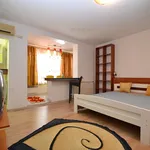 Rent 1 bedroom apartment of 35 m² in Timișoara