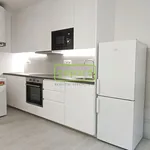 Rent 2 bedroom apartment of 31 m² in Brno