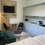 Studio o rozloze 30 m² v Prague