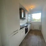 Rent 4 bedroom apartment in Badhoevedorp