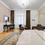 Rent 2 bedroom apartment of 42 m² in Brno