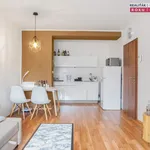 Rent 2 bedroom apartment of 45 m² in Brno