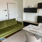 Rent 2 bedroom apartment of 57 m² in Milan