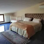 Affitto 6 camera casa di 330 m² in Sannicandro di Bari