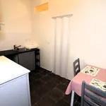 Rent 1 bedroom apartment of 30 m² in Brno