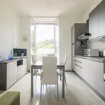 Rent 1 bedroom apartment in Florence