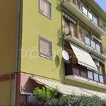 Rent 2 bedroom apartment of 54 m² in Milano