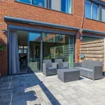 Rent 5 bedroom house of 128 m² in Haarlem