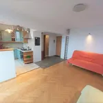 Rent 2 bedroom apartment of 44 m² in  Katowice