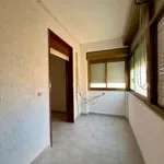 Affitto 5 camera appartamento di 109 m² in Palermo