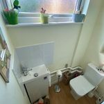 Rent 3 bedroom house in East Of England