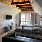 Rent 1 bedroom apartment of 46 m² in Hanover