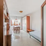 Rent 3 bedroom apartment in Rome