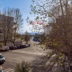 Rent 1 bedroom apartment of 34 m² in Roma