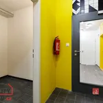 Pronajměte si 3 ložnic/e byt o rozloze 85 m² v Pilsen