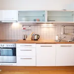 Rent 2 bedroom apartment of 50 m² in Prague