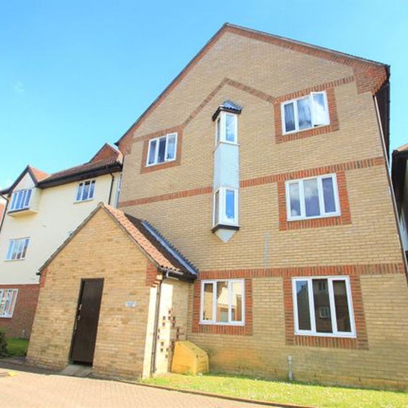 Flat to rent in Nicholsons Grove, Colchester, Essex CO1 Farmbridge End