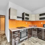 Rent 3 bedroom apartment of 65 m² in Náchod