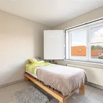 Rent 3 bedroom apartment in WUUSTWEZEL