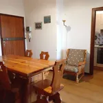 Rent 3 bedroom apartment of 63 m² in Cervia