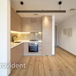 Rent 1 bedroom apartment of 47 m² in Dubai