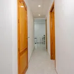 Rent 4 bedroom apartment in Valencia