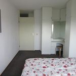 Grote Beer, Amstelveen - Amsterdam Apartments for Rent