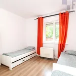 Rent 4 bedroom apartment of 73 m² in Poznan